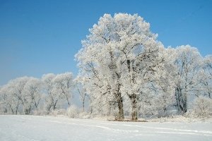 monte fumaiolo inverno